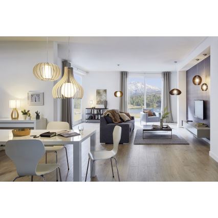 Eglo 96213 - Lestenec TINDORI 1xE27/60W/230V