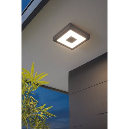 Eglo - LED zunanja stropna svetilka LED/16,5W/230V IP44