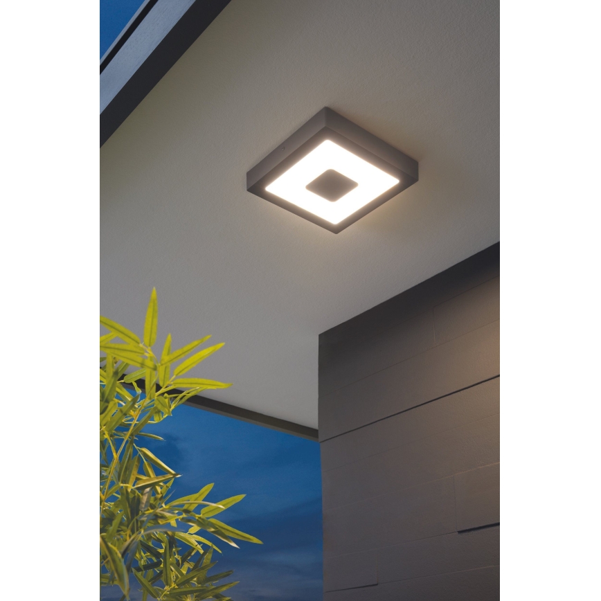 Eglo - LED zunanja stropna svetilka LED/16,5W/230V IP44