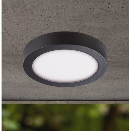 Eglo - LED Zunanja stropna svetilka LED/16,5W/230V IP44