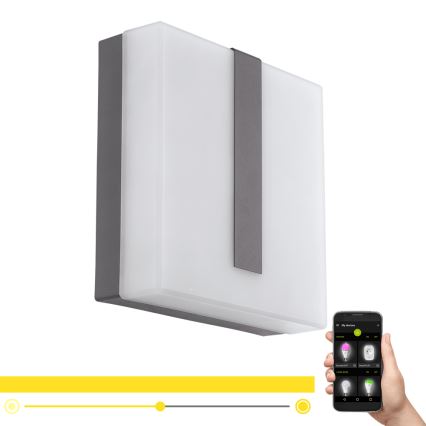 Eglo - LED Zatemnitvena zunanja stenska svetilka TORAZZA-C LED/14W/230V IP44
