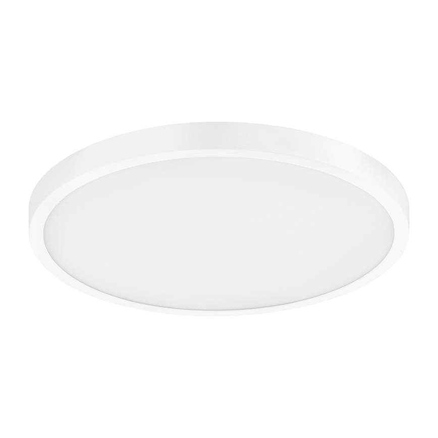 Eglo - LED Stropna svetilka 1xLED/25W/230V bela okrogla 2500 lm