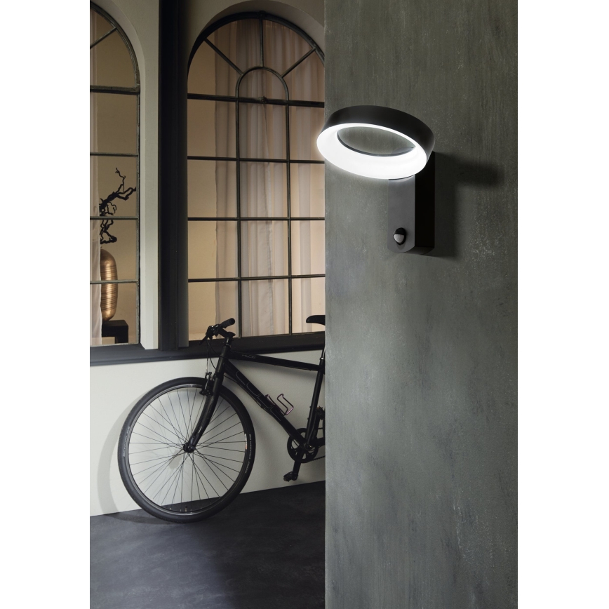 Eglo - LED Zunanja stenska svetilka s senzorjem LED/11W/230V