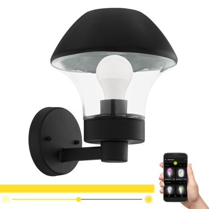 Eglo 97446 - LED Zatemnitvena zunanja stenska svetilka VERLUCCA-C 1xE27/9W/230V IP44 Bluetooth