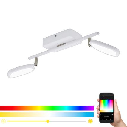 Eglo 97692 - LED RGB Reflektor PALOMBARE-C 2xLED/5W/230V