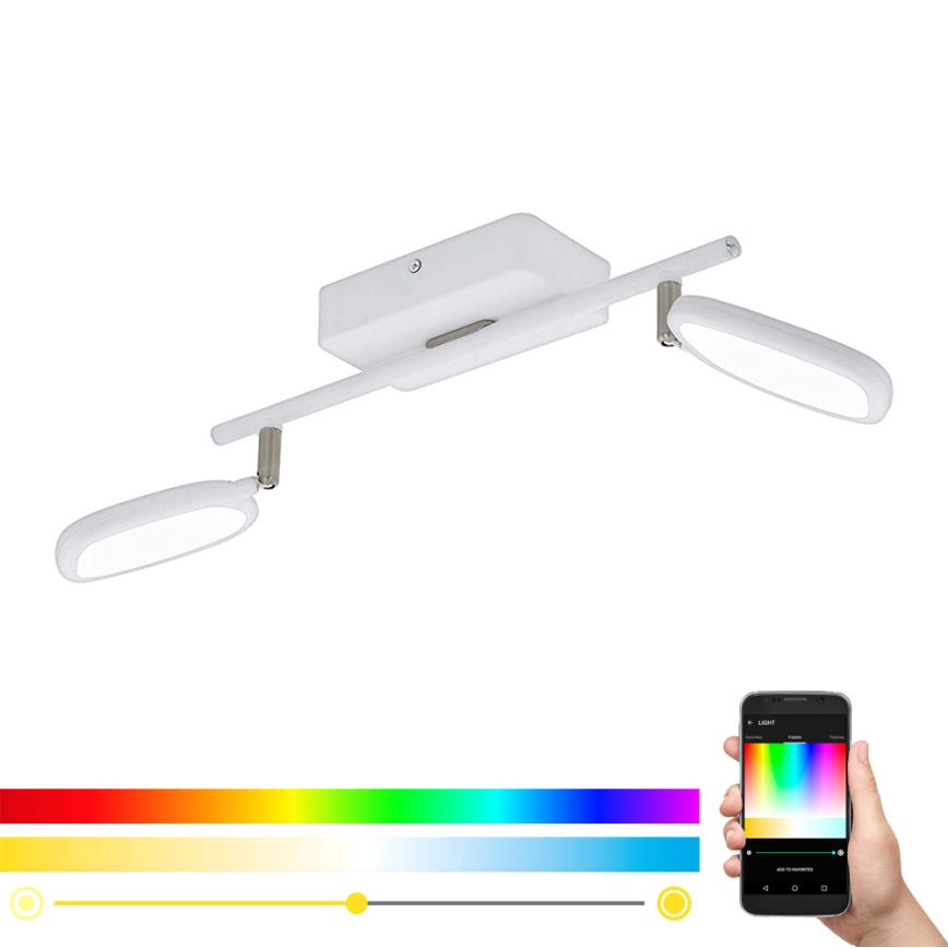 Eglo 97692 - LED RGB Reflektor PALOMBARE-C 2xLED/5W/230V