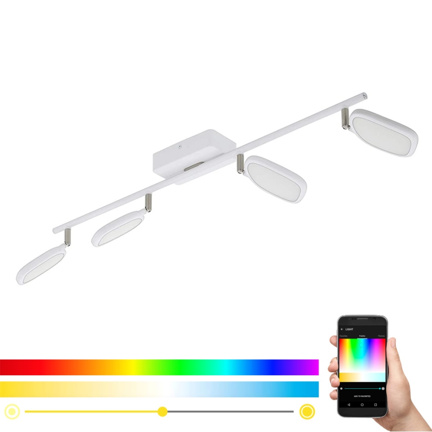 Eglo 97694 - LED Reflektor PALOMBARE-C 4xLED/5W/230V