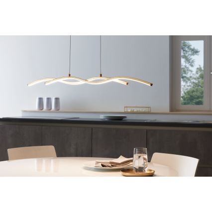 Eglo - LED Lestenec na vrvici 2xLED/8,5W/230V