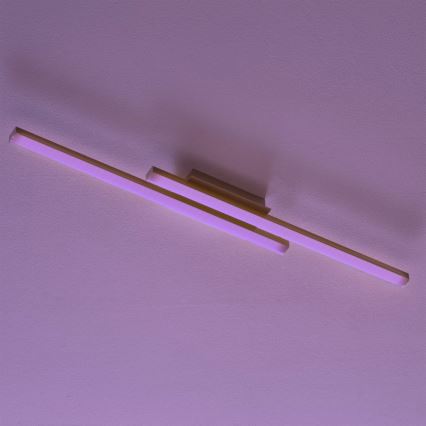 Eglo - LED RGB zatemljiv pritrjen stropni lestenec FRAIOLI-C LED/34W/230V