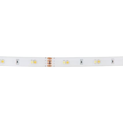 Eglo - RGB LED Zatemnitveni trak LED/10W/230V IP20 2m