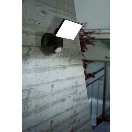 Eglo - LED Zunanja svetilka s senzorjem LED/15W/230V IP44