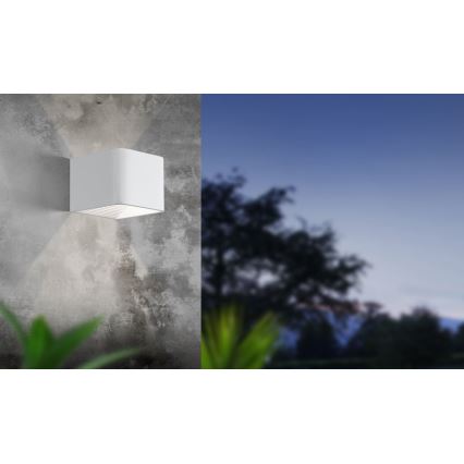 Eglo - LED Zunanja stenska svetilka LED/6W/230V IP55