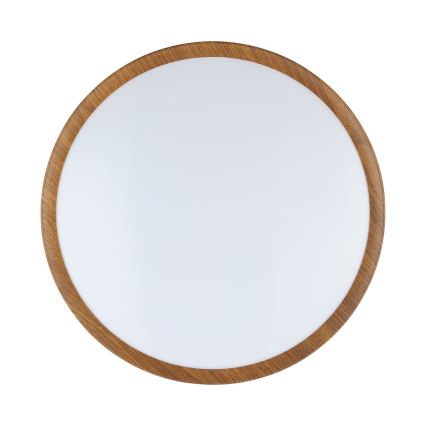 Eglo - LED Stropna svetilka LED/14,6W/230V