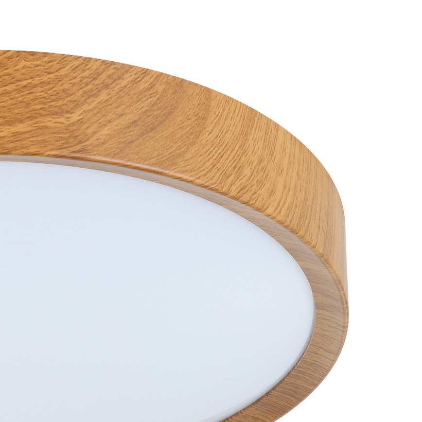 Eglo - LED Stropna svetilka LED/14,6W/230V