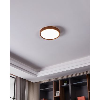 Eglo - LED Stropna svetilka LED/14,6W/230V