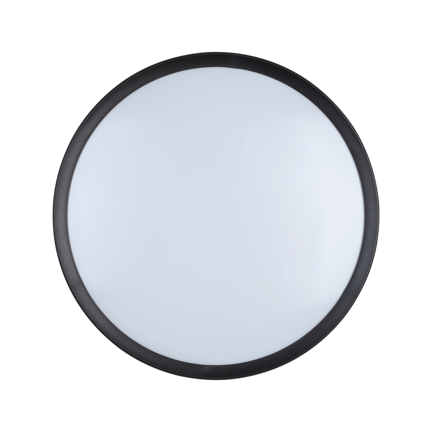 Eglo - LED Stropna svetilka LED/16,8W/230V