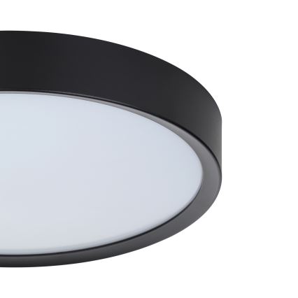 Eglo - LED Stropna svetilka LED/16,8W/230V