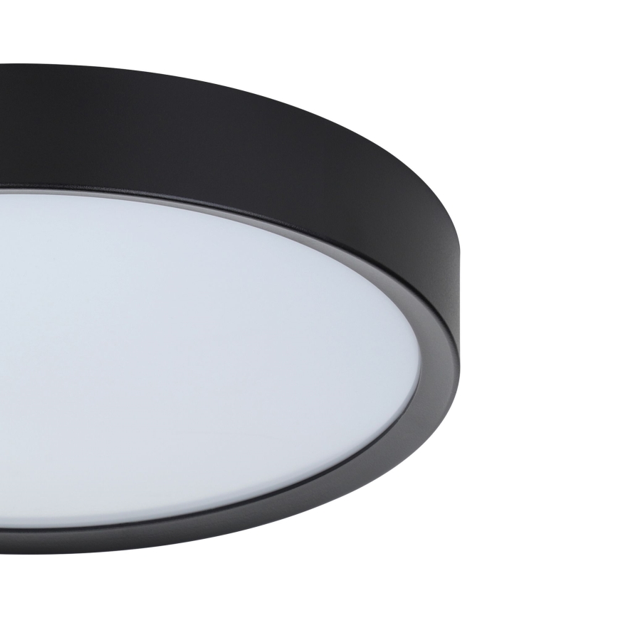Eglo - LED Stropna svetilka LED/16,8W/230V