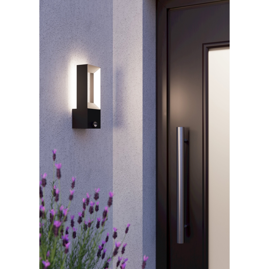 Eglo - LED Zunanja svetilka s senzorjem 2xLED/5W/230V IP44
