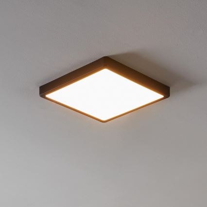 Eglo - LED zatemnljivo kopalniško svetilo LED/19,5W/230V IP44 ZigBee 28,5x28,5 cm