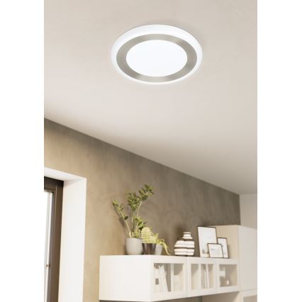 Eglo - LED Stropna svetilka LED/22W/230V