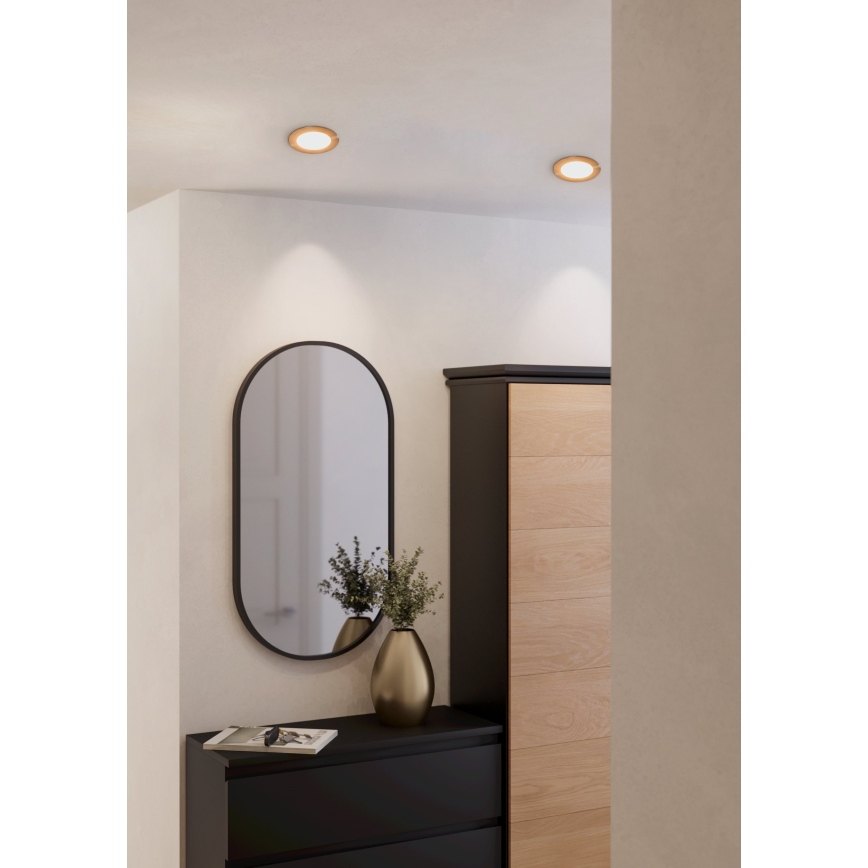 Eglo - LED Vgradna svetilka LED/5,5W/230V