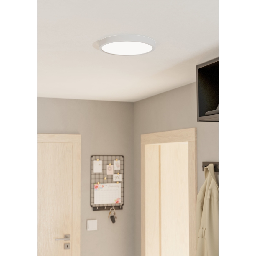Eglo - LED Stropna svetilka LED/20W/230V