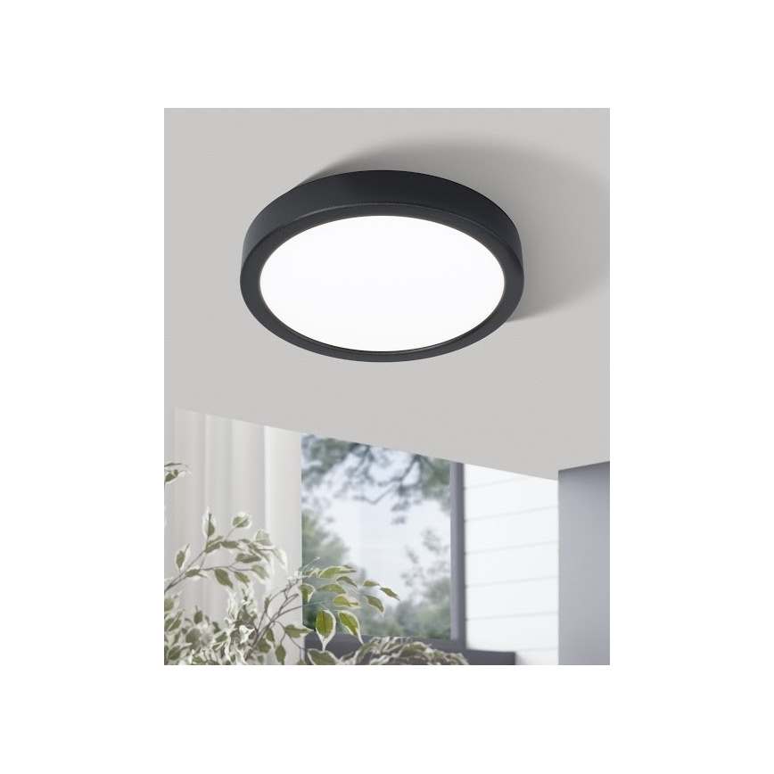 Eglo - LED Stropna svetilka LED/20W/230V