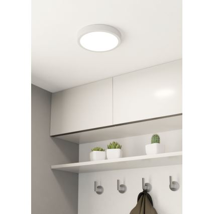 Eglo - LED Zatemnitvena stropna svetilka LED/16,5W/230V