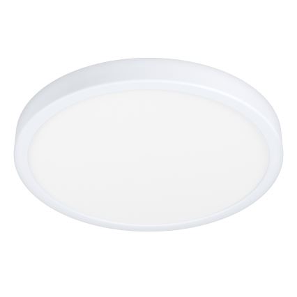 Eglo - LED Kopalniška stropna svetilka LED/20W/230V IP44