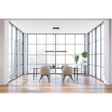 Eglo - LED Zatemnitveni lestenec na vrvici LED/25,5W/230V