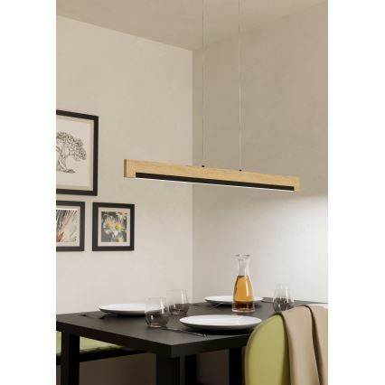 Eglo - LED Zatemnitveni lestenec na vrvici LED/25,5W/230V
