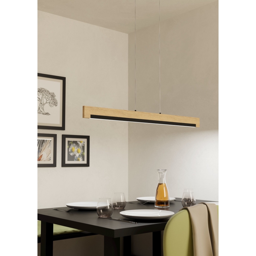 Eglo - LED Zatemnitveni lestenec na vrvici LED/25,5W/230V
