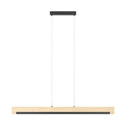 Eglo - LED Zatemnitveni lestenec na vrvici LED/25,5W/230V