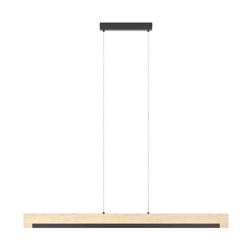 Eglo - LED Zatemnitveni lestenec na vrvici LED/25,5W/230V