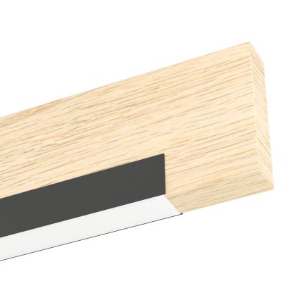 Eglo - LED Stenska svetilka LED/9,6W/230V