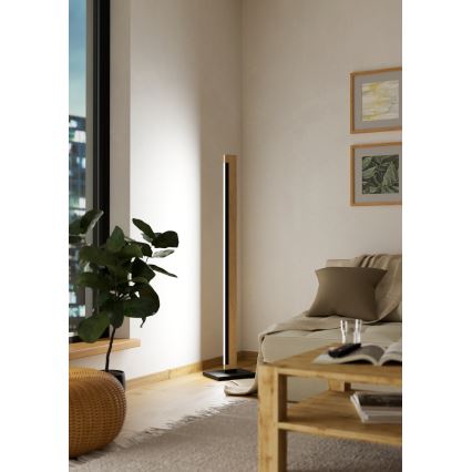 Eglo 99296 - LED Zatemnitvena talna svetilka na dotik CAMACHO LED/22W/230V