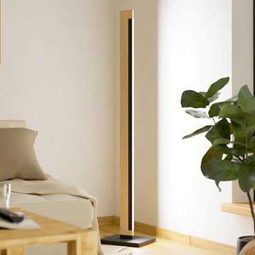 Eglo 99296 - LED Zatemnitvena talna svetilka na dotik CAMACHO LED/22W/230V