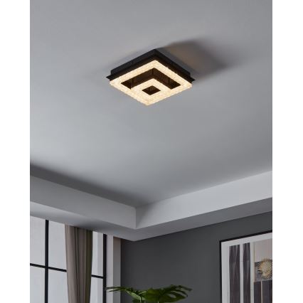 Eglo - LED Stropna svetilka LED/12W/230V