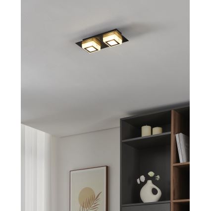 Eglo 99362 - LED stropna svetilka MASIANO 2xLED/3,3W/230V