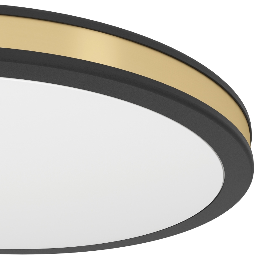 Eglo - LED Stropna svetilka LED/11W/230V