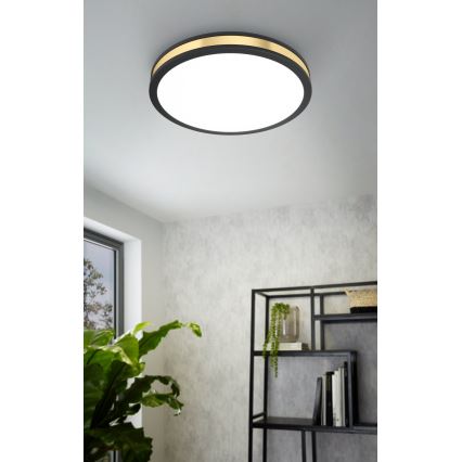 Eglo - LED Stropna svetilka LED/24W/230V