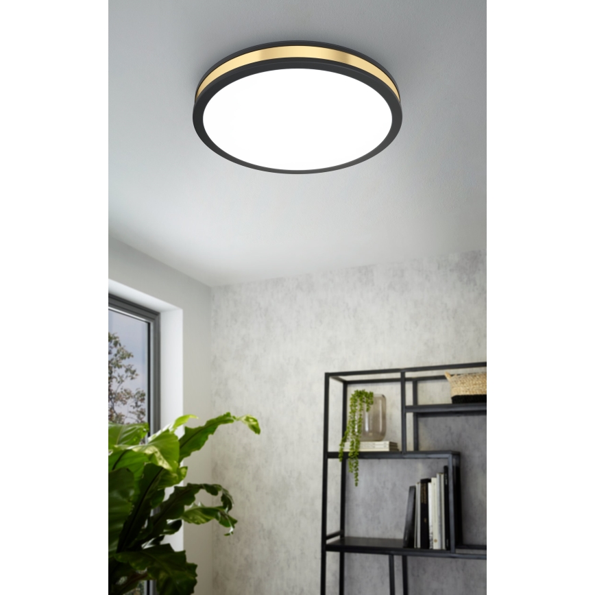 Eglo - LED Stropna svetilka LED/24W/230V