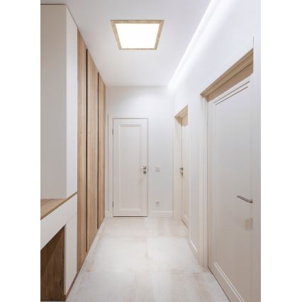 Eglo - LED Stropna svetilka LED/32W/230V 645x645 mm