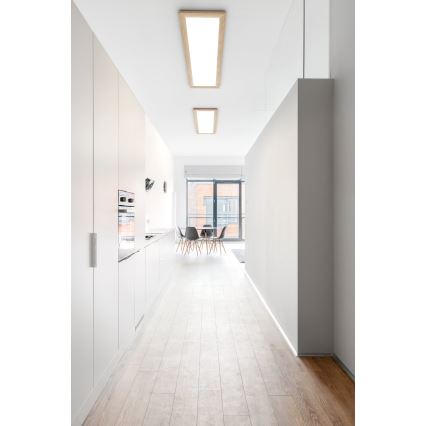 Eglo - LED Stropna svetilka LED/32W/230V 345x1245 mm