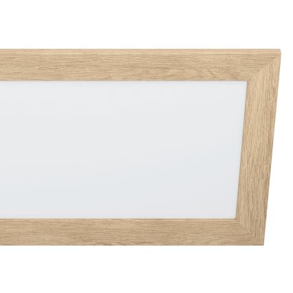 Eglo - LED Stropna svetilka LED/32W/230V 345x1245 mm