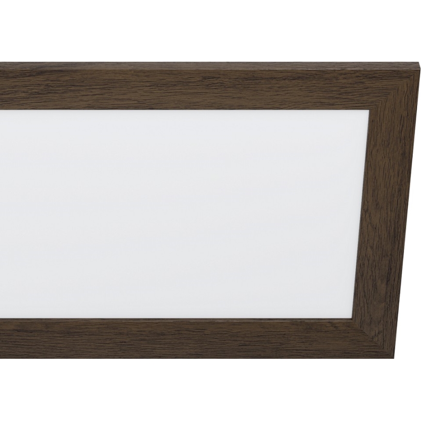 Eglo - LED Stropna svetilka LED/32W/230V 345x1245 mm