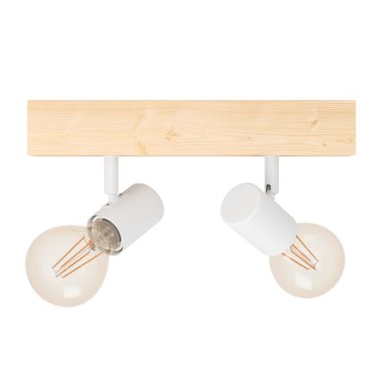Eglo - Reflektor TOWNSHEND 2xE27/60W/230V