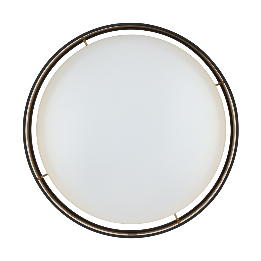 Eglo - LED Stropna svetilka LED/24W/230V