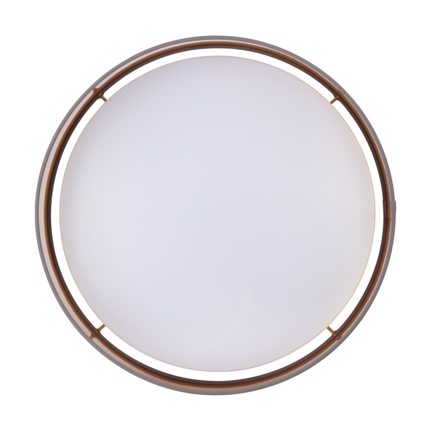 Eglo - LED Stropna svetilka LED/24W/230V